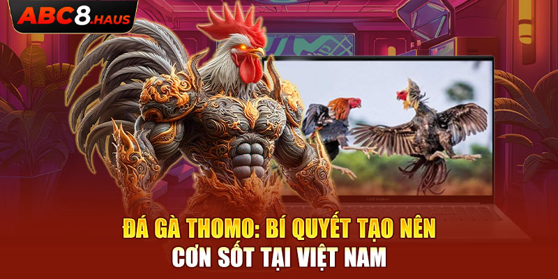 Đá Gà Thomo: Bí Quyết Tạo Nên Cơn Sốt Tại Việt Nam