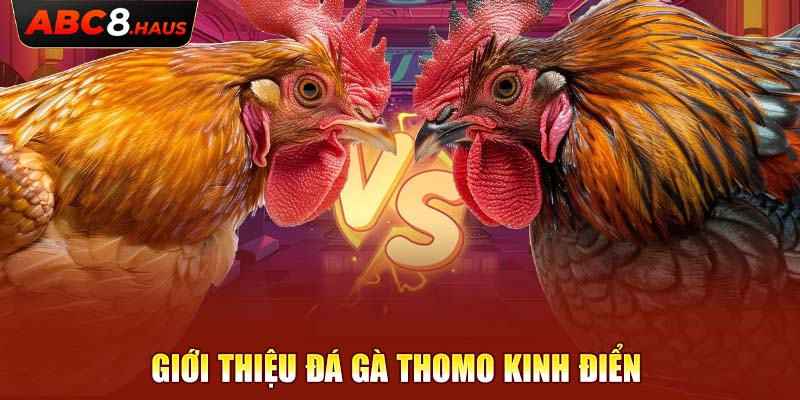 Giới thiệu đá gà Thomo kinh điển