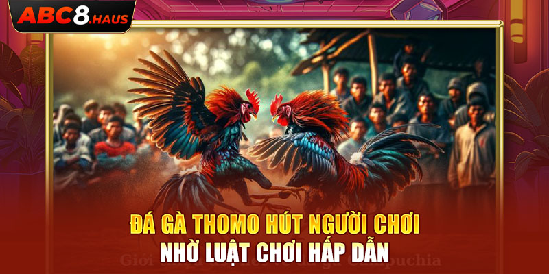 Đá gà Thomo hút người chơi nhờ luật chơi hấp dẫn